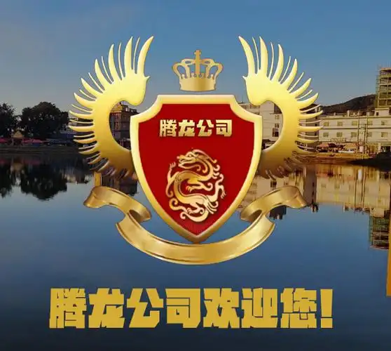萌宠大作战